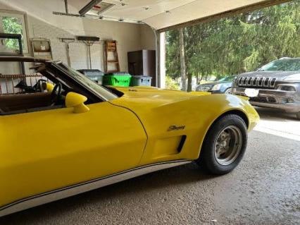 1973 Chevrolet Corvette