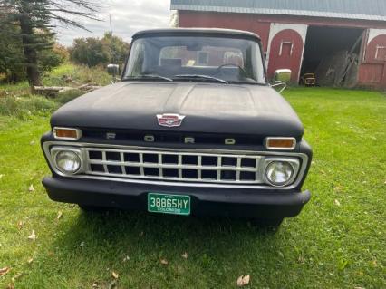 1966 Ford F100