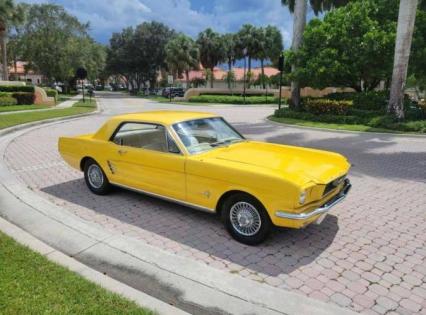 1966 Ford Mustang