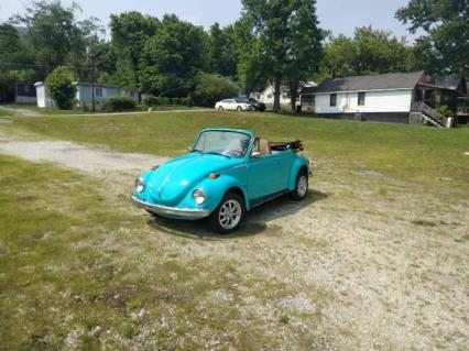 1973 Volkswagen Super Beetle