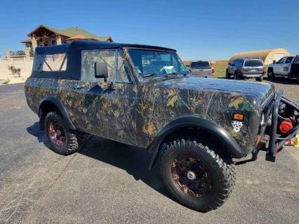 1979 International Scout