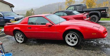 1987 Pontiac Firebird