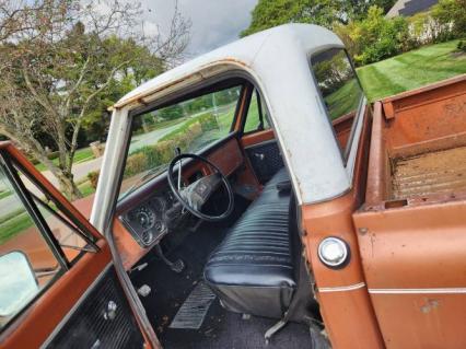 1969 Chevrolet C10