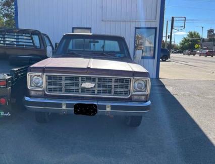 1977 Chevrolet Pickup