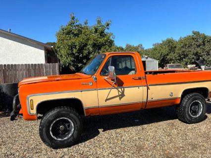 1976 Chevrolet Silverado