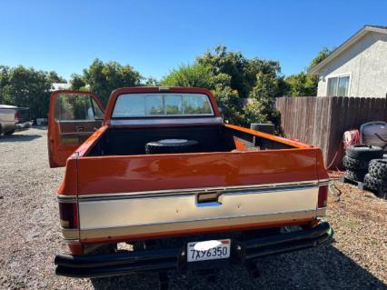 1976 Chevrolet Silverado