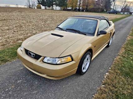 2000 Ford Mustang