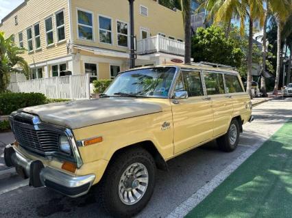 1980 Jeep Wagoneer