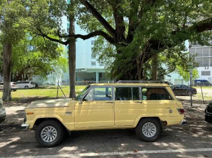 1980 Jeep Wagoneer