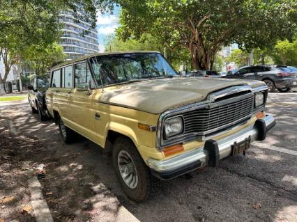 1980 Jeep Wagoneer