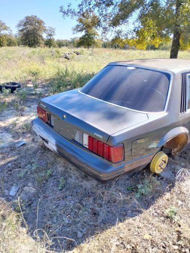 1981 Ford Mustang