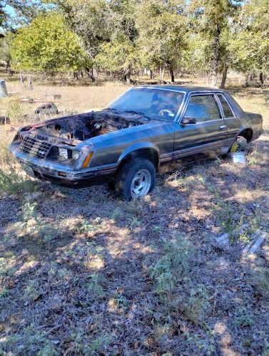 1981 Ford Mustang