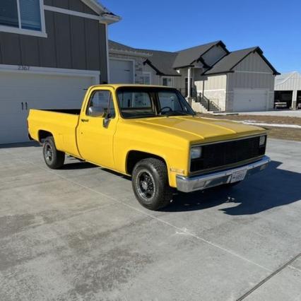 1981 Chevrolet Silverado