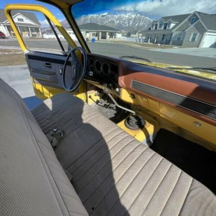 1981 Chevrolet Silverado