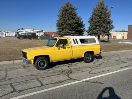 1981 Chevrolet Silverado