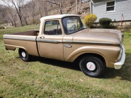 1965 Ford F100