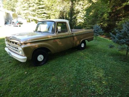 1965 Ford F100