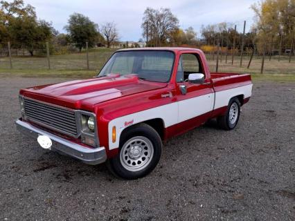 1980 Chevrolet Pickup