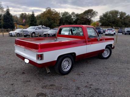 1980 Chevrolet Pickup