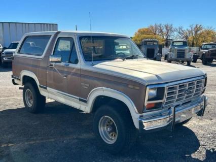 1986 Ford Bronco