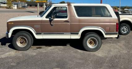 1986 Ford Bronco