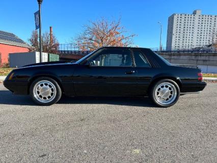 1981 Ford Mustang