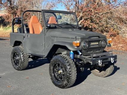 1976 Toyota Land Cruiser