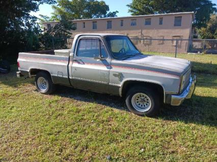 1981 Chevrolet Silverado