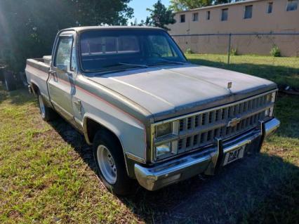 1981 Chevrolet Silverado