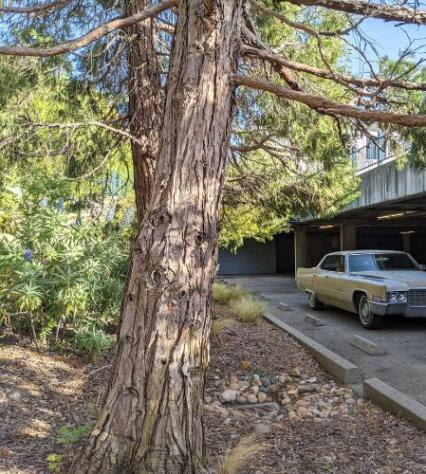 1969 Cadillac Deville