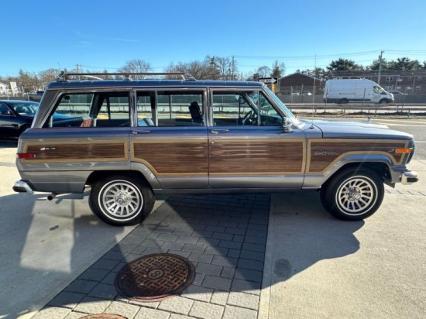 1991 Jeep Grand Wagoneer