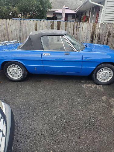 1979 Alfa Romeo Spider