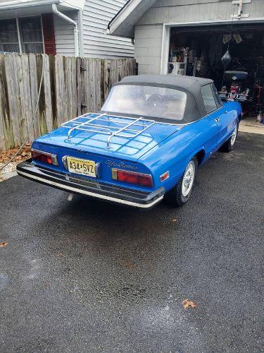 1979 Alfa Romeo Spider