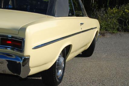 1965 Buick Special