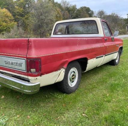 1981 Chevrolet Silverado