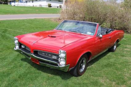 1967 Pontiac GTO