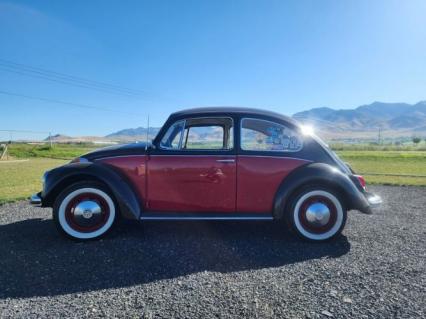 1968 Volkswagen Beetle