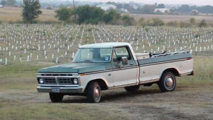 1976 Ford F150