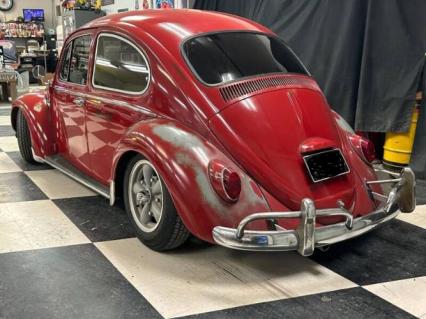 1965 Volkswagen Beetle