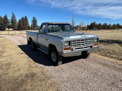 1981 Dodge W250