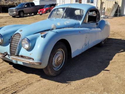 1951 Jaguar XK120