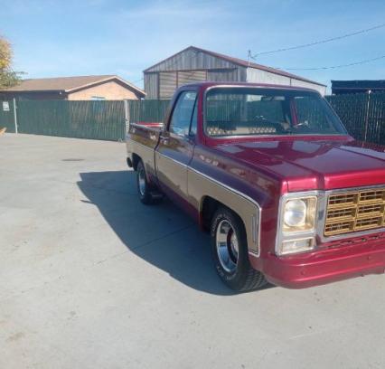 1979 Chevrolet Cheyenne