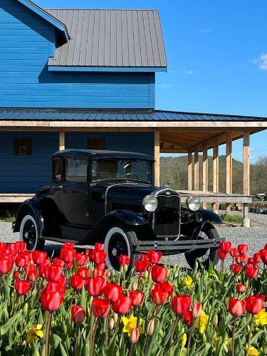 1931 Ford Model A