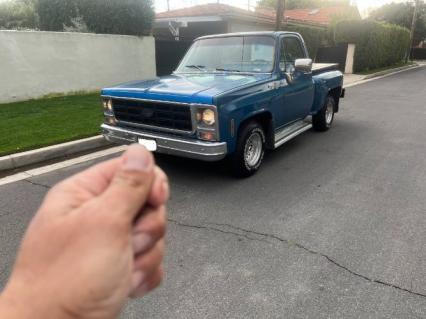 1979 Chevrolet C10