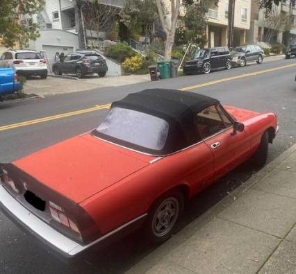 1984 Alfa Romeo Spider