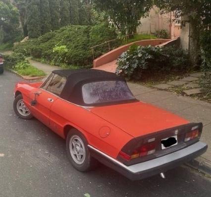 1984 Alfa Romeo Spider