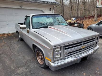 1987 Chevrolet Pickup