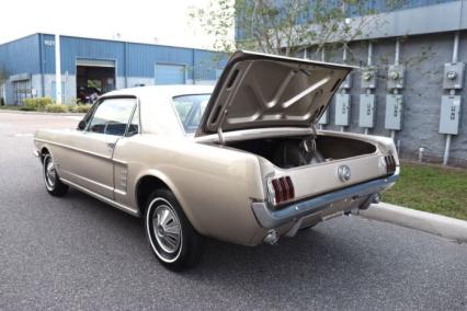 1966 Ford Mustang