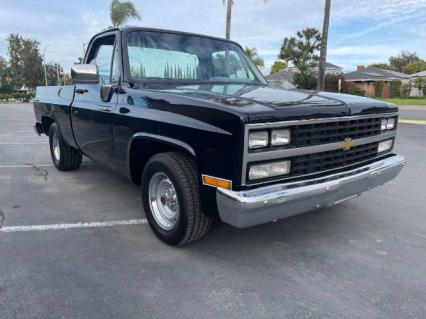 1973 Chevrolet C10