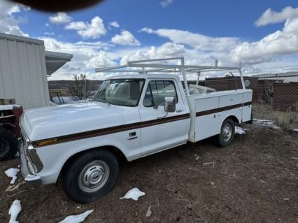 1973 Ford F250